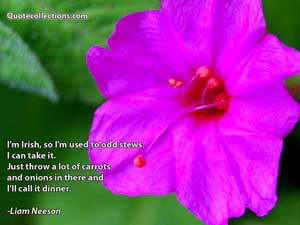 liam_neeson_quotes Quotes 4
